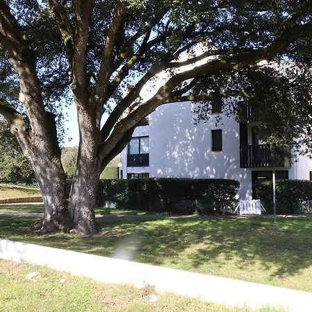 Apartmán Cosy A Deux Pas De La Et Foret Avec Parking Securise - Fr-1-738-46