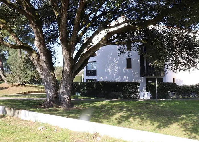 Apartmán Cosy A Deux Pas De La Et Foret Avec Parking Securise - Fr-1-738-46